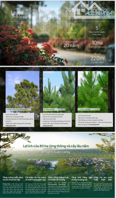 Bán biệt thự nghỉ dưỡng 200m2- Thanh Xuân Valley- VP- Chỉ từ 15 tỷ- Sổ đỏ lâu dài - 3