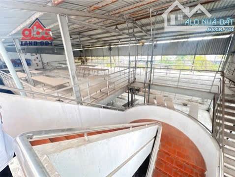 XT189 🆘Cho thuê Nhà Xưởng 1ha Góc 2 Mặt Tiền trong Khu công nghiệp - Bình Dương - 3