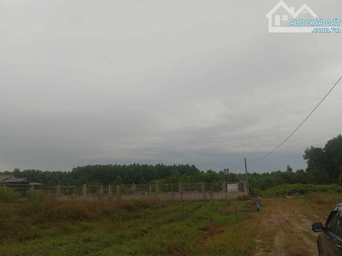 Bán 2 mẫu 1 long phước giá mềm cho nhà đầu tư - 2