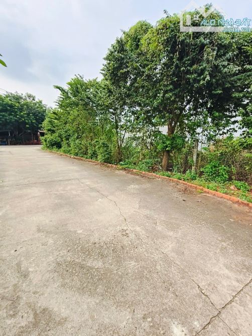 Bán 255m2  đất  tại xã Hoà Long, TP Bà Rịa- Vũng Tàu - 4