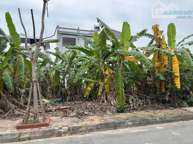 CHÍNH GỬ BÁN LÔ ĐẤT BIỆT THỰ PLAZA -TP HẢI DƯƠNG - 4