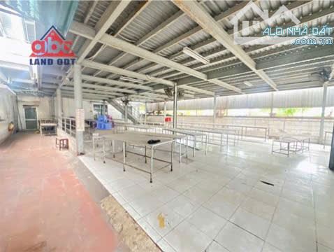 XT189 🆘Cho thuê Nhà Xưởng 1ha Góc 2 Mặt Tiền trong Khu công nghiệp - Bình Dương - 4