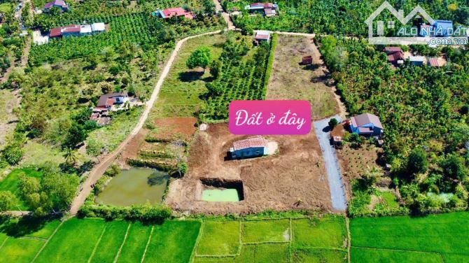 Cư Kuin bán lô đất sẵn thổ cư gần QL 27 và các tiện ích - 4