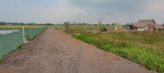 BÁN ĐẤT THƯƠNG MẠI DỊCH VỤ – KHU ĐÔ THỊ MỚI TÂN HIỆP - 4
