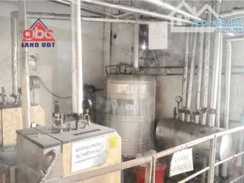 XT189 🆘Cho thuê Nhà Xưởng 1ha Góc 2 Mặt Tiền trong Khu công nghiệp - Bình Dương - 5
