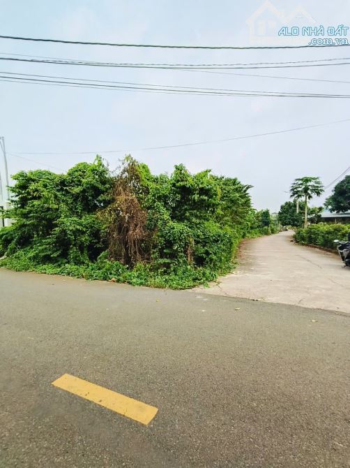 Bán 255m2  đất  tại xã Hoà Long, TP Bà Rịa- Vũng Tàu - 6
