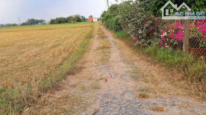 Bán đất 12.4 x 55m (682m2) ấp Bình Lợi, xã Hòa Khánh Đông, Đức Hòa, Long An giá 3.6 tỷ - 2