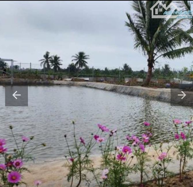 Bán ĐấtTân Phong, Kiến Thụy, Hải Phòng .15,5 tỷ, Diện Tích 7000m2.ngang 100m2.Đường 29m