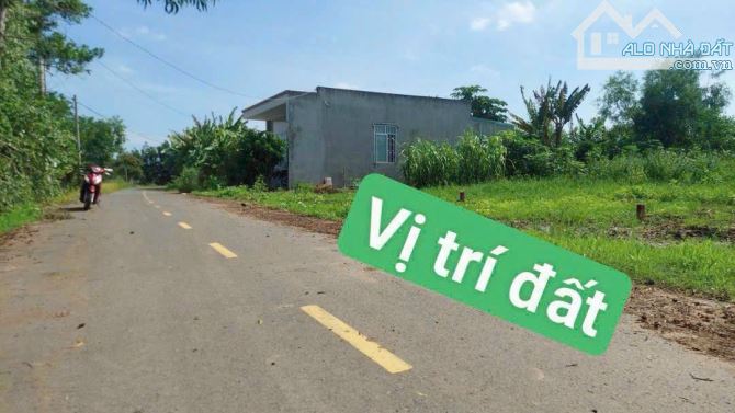 BÁN GẤP LÔ ĐẤT MẶT TIỀN ĐƯỜNG NHỰA THUỘC XÃ PHƯỚC LONG THỌ - ĐẤT ĐỎ - BRVT