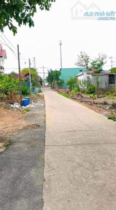 255,9m2 có 100m2 đất ở gần quốc lộ Tân lợi Đồng Phú Bình Phước Giá 295 triệu