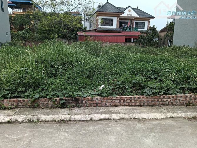 Bán đất thôn Lương Quy - xã Xuân Nộn: 202 m2 - giá rẻ 55 triệu/m2.