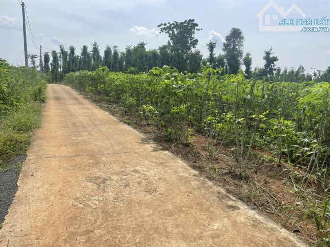 Lên lô đất siêu đẹp . Gần 1 mẫu 300tc 120m mặt tiền tại LÂM SAN CẨM MỸ. Giá chỉ 6ty5