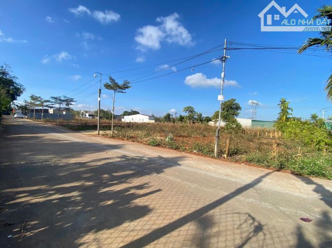Bán lô đất Cư suê Diện tích 14m x25m  góc 2 mt ( một mặt đường nhựa qh 20 m, một mặt đường