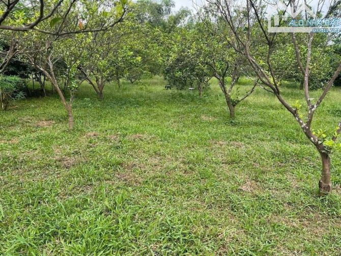Bán lô đất để làm nghỉ dưỡng, sẵn sổ hồng, giá rẻ nhất thị trường vị trí đẹp, chủ cần gấp