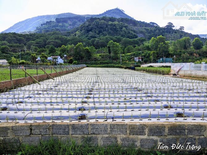 Cần bán 6.900m2 đất Vùng Ven Đà Lạt có sẵn 400m2 thổ cư trên sổ hồng,bán chỉ 13 tỷ TL