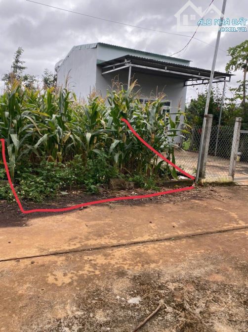 Cư Kuin bán lô đất mt đường bê tông sẵn thổ cư cách ngã 6 BMT 9km