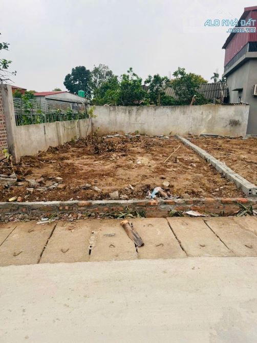 Bán lô đất 53,9 và 46,5 tại Đông tảo chỉ 2x tỷ - 1