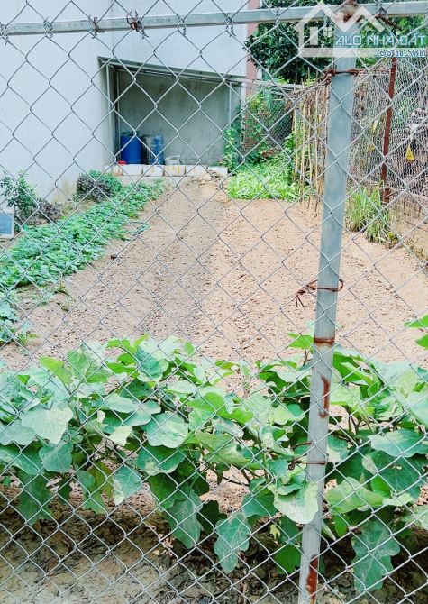 HOA HẬU MÊ LINH NGÕ THÔNG Ô TÔ TRÁNH NHAU 63M ZÁ RẺ - 1