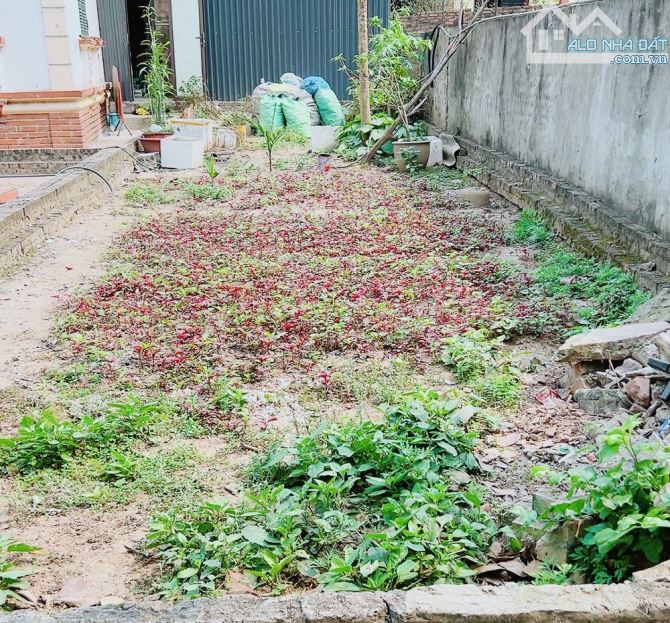 SIÊU MẪU QUANG MINH _MÊ LINH NGÕ THÔNG Ô TÔ TRÁNH KINH DOANH 56M ZÁ RẺ - 1