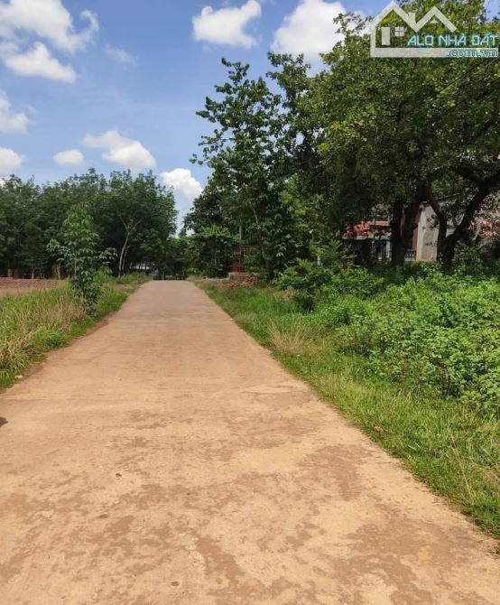 255,9m2 có 100m2 đất ở gần quốc lộ Tân lợi Đồng Phú Bình Phước Giá 295 triệu - 1