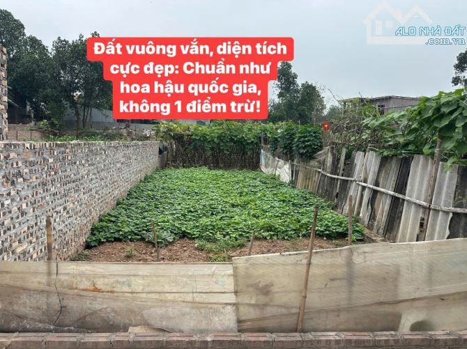 Bán đất, Hát Môn, Phúc Thọ, 54m2 MT 4,5M, ô tô tránh, quan lộc, sổ đẹp nhỉnh 3 tỷ - 1