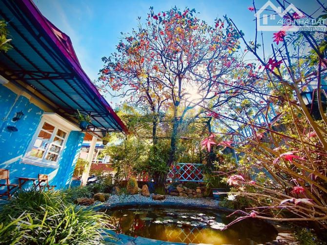Bán Nhà cấp 4 Hai mặt tiền,Cô Giang, P. 9, Đà Lạt TRUNG TÂM ĐÀ LẠT - 1