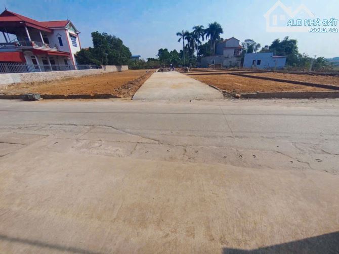 Bán đất Đan Tảo Tân Minh Sóc Sơn lô góc 86m2 Full thổ cư hai ô tô tránh nhỉnh 2 tỷ xíu - 1