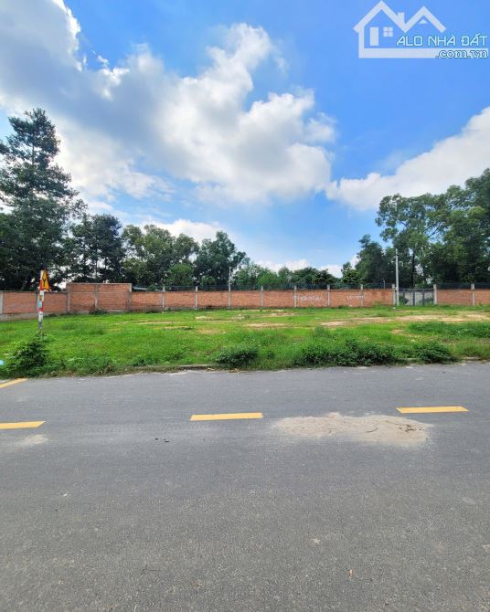 3Tỷ TL🔥Bán đất 135m2 Mặt Tiền đường Tân Hiệp, p.Tân Bình, Tp.Dĩ An - 1