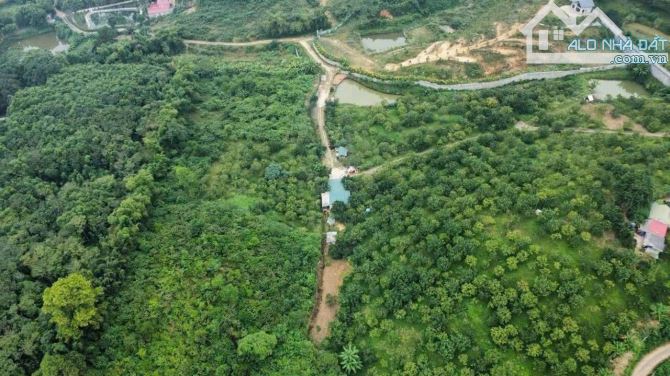Bán lô đất để làm nghỉ dưỡng, sẵn sổ hồng, giá rẻ nhất thị trường vị trí đẹp, chủ cần gấp - 1