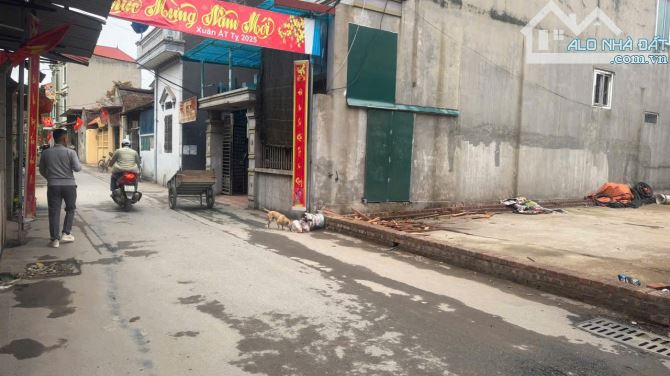 BÁN 86M2 ĐẤT, THỤY LÔI - THỤY LÂM - ĐÔNG ANH - NỞ HẬU - Ô TÔ TRÁNH - 1