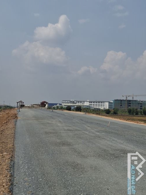 8000m2 mặt tiền đường Hồ Chí Minh, Lộc Giang Đức Hòa - 1