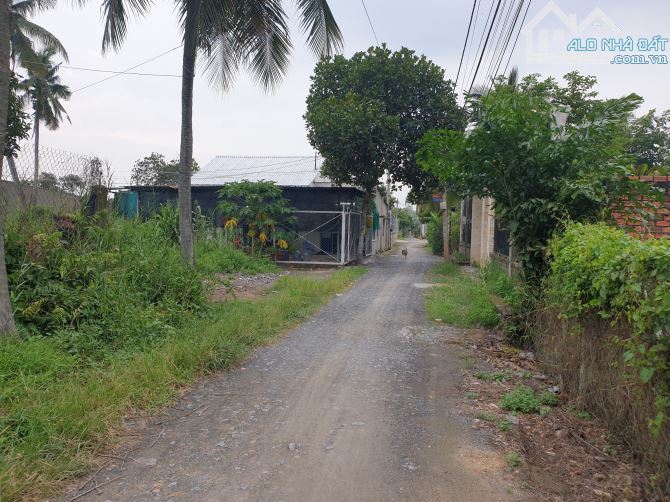 Đất cách đường Huỳnh Thị Dần 200m, xã Bình Mỹ Củ Chi, 115 m², 5x23m, khu vực rất tiềm năng - 1