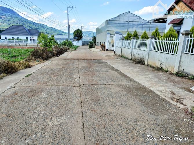 Cần bán 6.900m2 đất Vùng Ven Đà Lạt có sẵn 400m2 thổ cư trên sổ hồng,bán chỉ 13 tỷ TL - 1