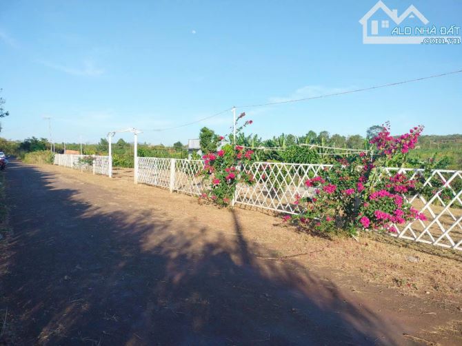 Bán 1220m2 đất Bàu Lâm , Xuyên Mộc, BRVT - 2