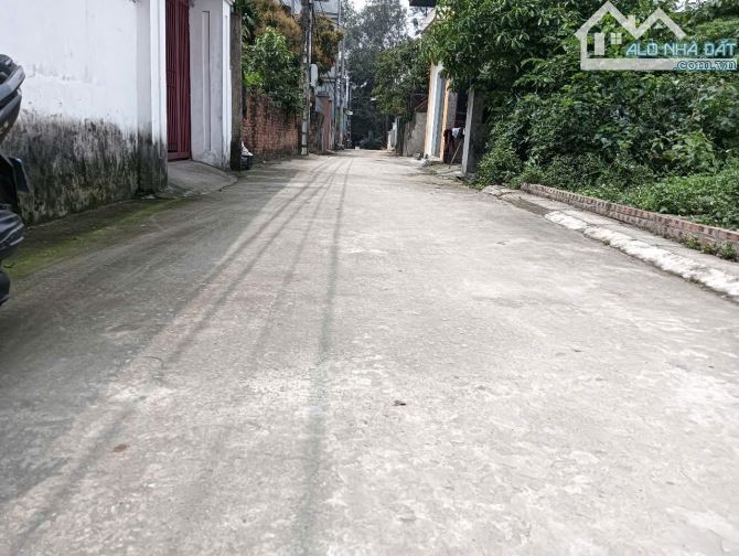 Bán đất thôn Lương Quy - xã Xuân Nộn: 202 m2 - giá rẻ 55 triệu/m2. - 2