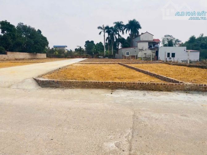 Bán đất Đan Tảo Tân Minh Sóc Sơn lô góc 86m2 Full thổ cư hai ô tô tránh nhỉnh 2 tỷ xíu - 2