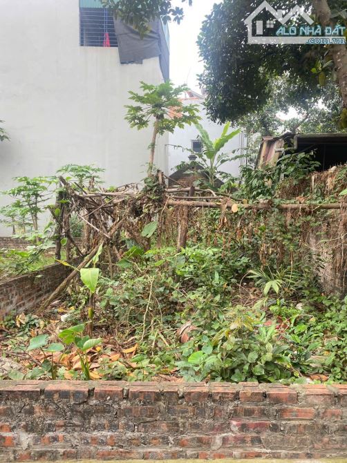 BÁN ĐẤT CỔ LOA – XÓM THƯỢNG – ĐÔNG ANH Diện tích 72,8m², mt 4m. Nở hậu - 2