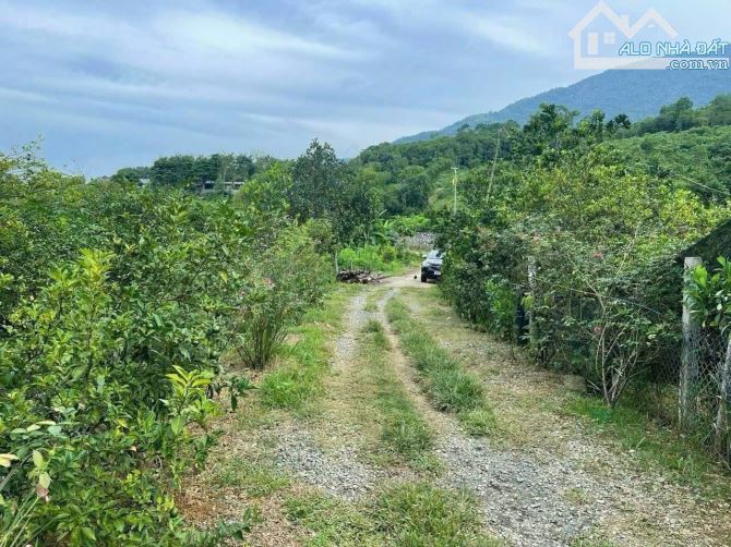 Bán lô đất để làm nghỉ dưỡng, sẵn sổ hồng, giá rẻ nhất thị trường vị trí đẹp, chủ cần gấp - 2