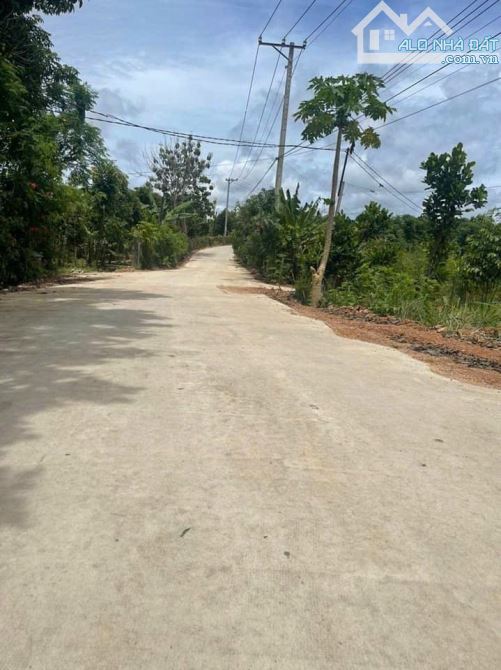 Lô đất đẹp 184m2 thuộc xã Phú Tân, Định Quán Cách nhựa Hương Lộ 120 chỉ 500m. - 2