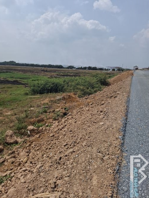 8000m2 mặt tiền đường Hồ Chí Minh, Lộc Giang Đức Hòa - 2