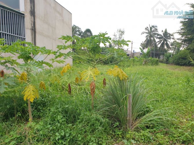 Đất cách đường Huỳnh Thị Dần 200m, xã Bình Mỹ Củ Chi, 115 m², 5x23m, khu vực rất tiềm năng - 2