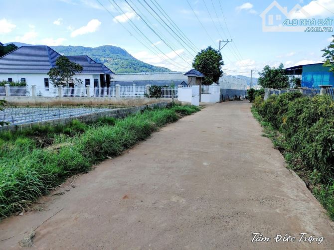 Cần bán 6.900m2 đất Vùng Ven Đà Lạt có sẵn 400m2 thổ cư trên sổ hồng,bán chỉ 13 tỷ TL - 2
