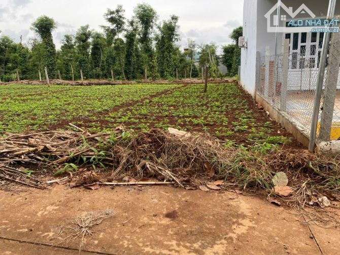 Cư Kuin bán lô đất mt đường bê tông sẵn thổ cư cách ngã 6 BMT 9km - 2
