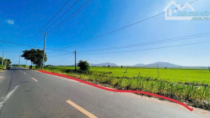 Bán 128m mặt tiền nhựa - Trung Tâm TT Đất Đỏ . Long Đất - 3