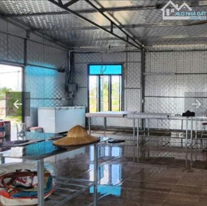 Bán ĐấtTân Phong, Kiến Thụy, Hải Phòng .15,5 tỷ, Diện Tích 7000m2.ngang 100m2.Đường 29m - 3