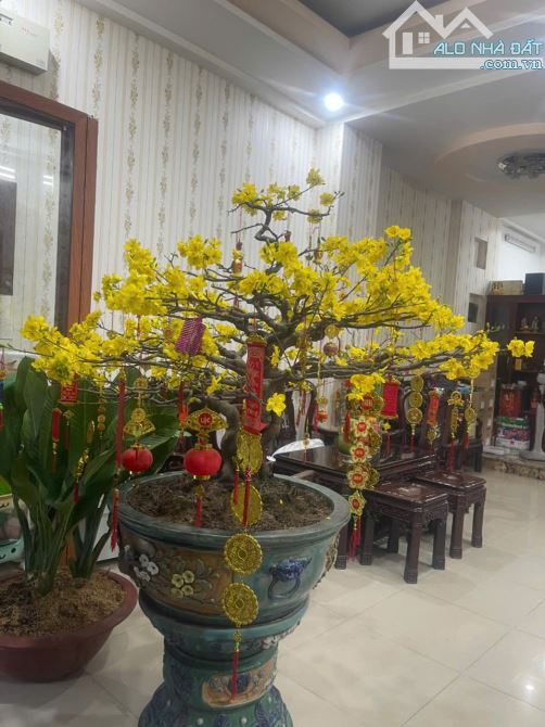 Nhà phố xinh rẻ 5 x 14m 1 trệt 3 lầu Tạ Quang Bửu Q8 TP.HCM - 3