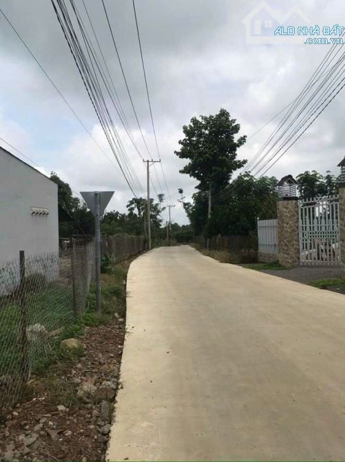 Lô đất đẹp 184m2 thuộc xã Phú Tân, Định Quán Cách nhựa Hương Lộ 120 chỉ 500m. - 3