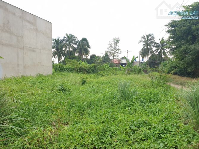 Đất cách đường Huỳnh Thị Dần 200m, xã Bình Mỹ Củ Chi, 115 m², 5x23m, khu vực rất tiềm năng - 3