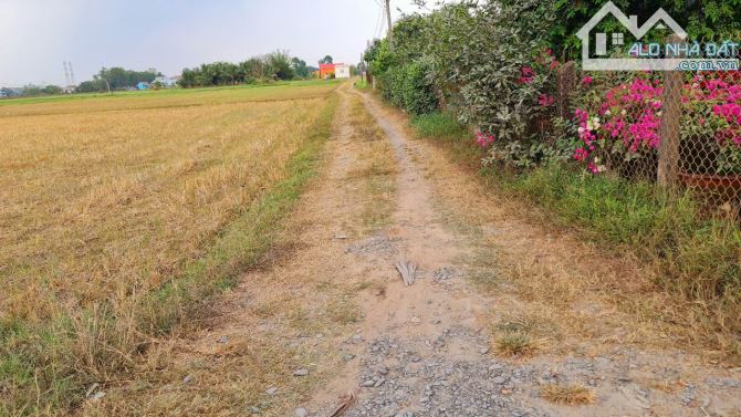 Bán đất 12.4 x 55m (682m2) ấp Bình Lợi, xã Hòa Khánh Đông, Đức Hòa, Long An giá 3.6 tỷ - 6