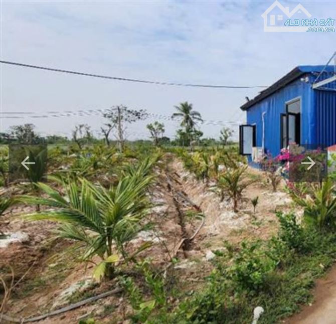 Bán ĐấtTân Phong, Kiến Thụy, Hải Phòng .15,5 tỷ, Diện Tích 7000m2.ngang 100m2.Đường 29m - 4